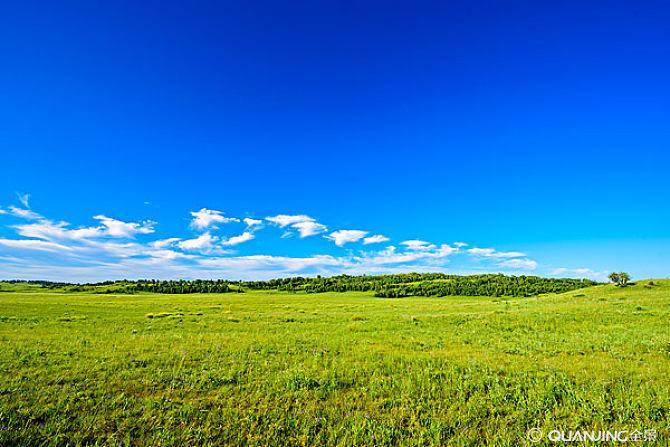 绿色的大草原