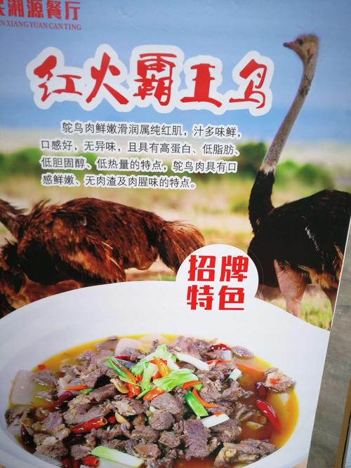 岳阳首家,鸵鸟肉餐厅