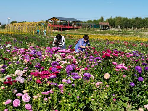 "百花谷"迷人景色如七色彩虹