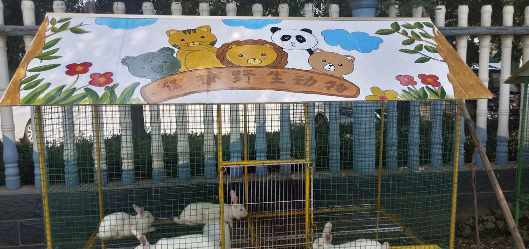 与小动物共成长——圣井中心幼儿园开展动物饲养区体验活动