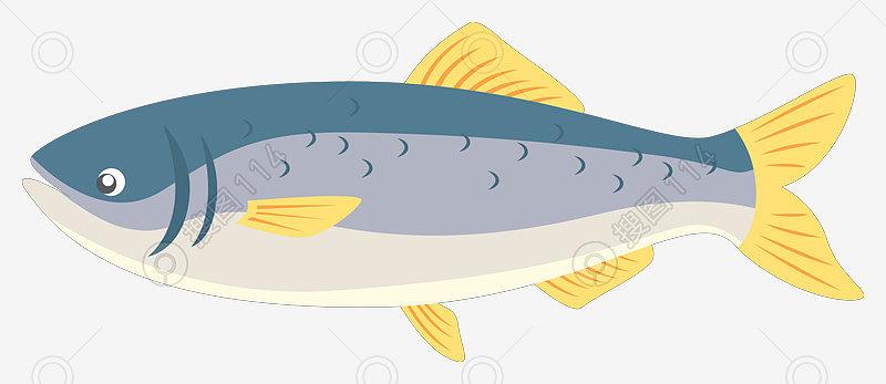海洋鲑鱼卡通