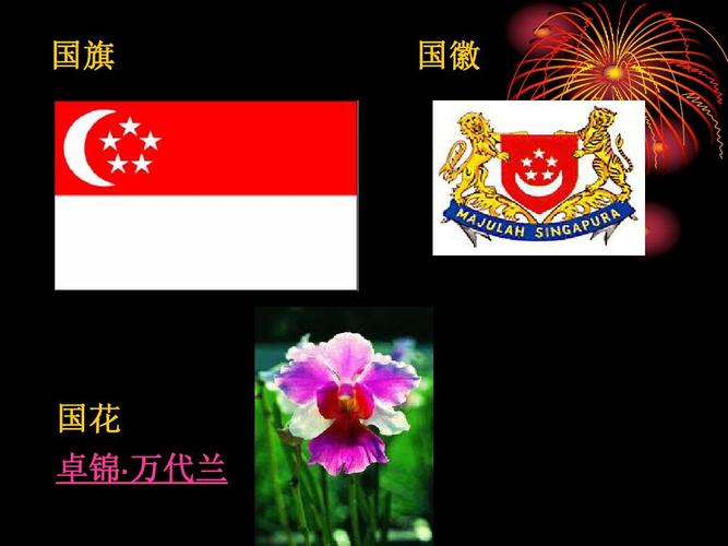 国旗 国徽 国花 卓锦· 万代兰