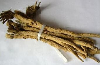 防风的功效与作用