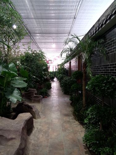 眉山首家生态餐厅——田园草堂生态园