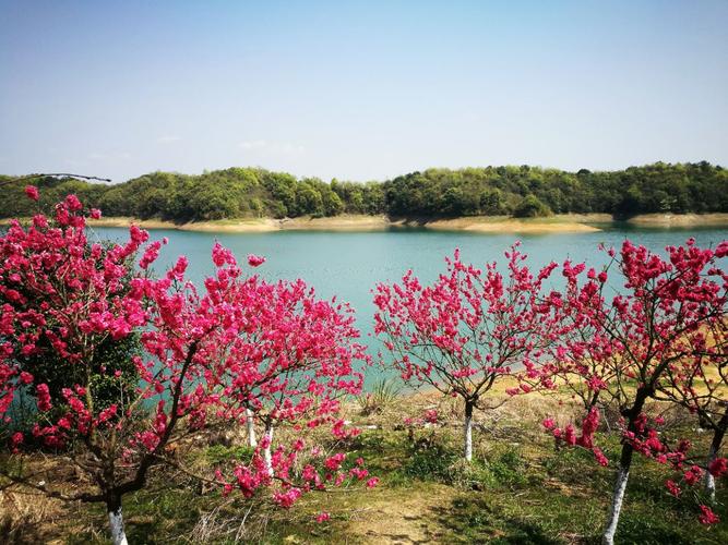 武宁花源谷