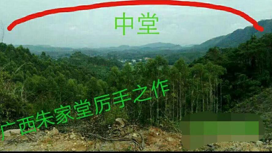 共益交讨分享传播周易风水文化,留传题《飞凤过江》
