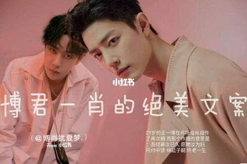 博君一肖文案～_博君一肖_文案_王一博_肖战_倾慕_素材_文字素材