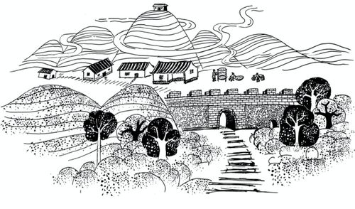 春天哪里都有,茶园也不罕见