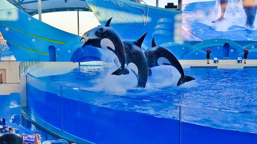 上海海昌海洋公园