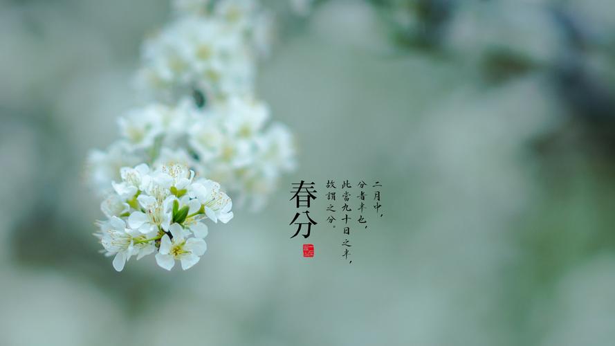 春分图片二十四节气春分清新唯美图片