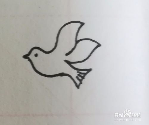 鸽子简笔画怎么画,抓住大的形体简单易学