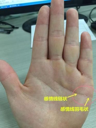 手掌中那一条是感情线.那条是财运线和婚姻线呢