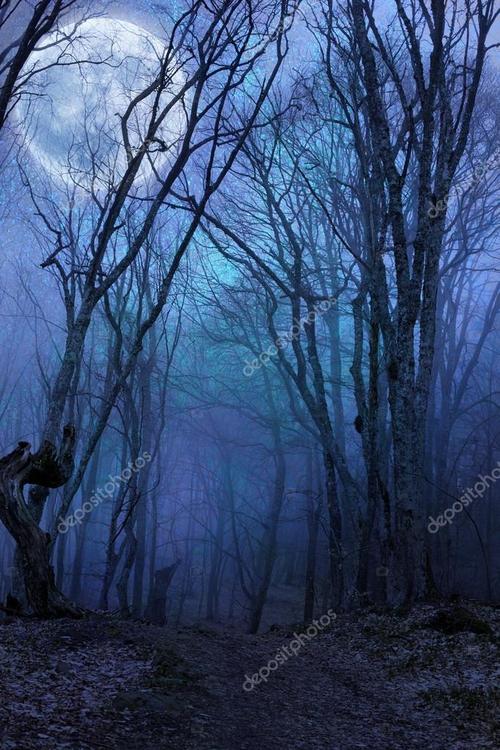 名称:漆黑的夜晚森林对满月