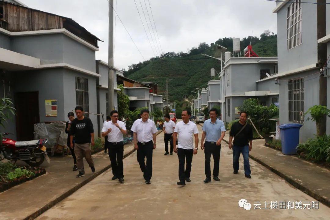 崔同富到元阳县逢春岭乡调研
