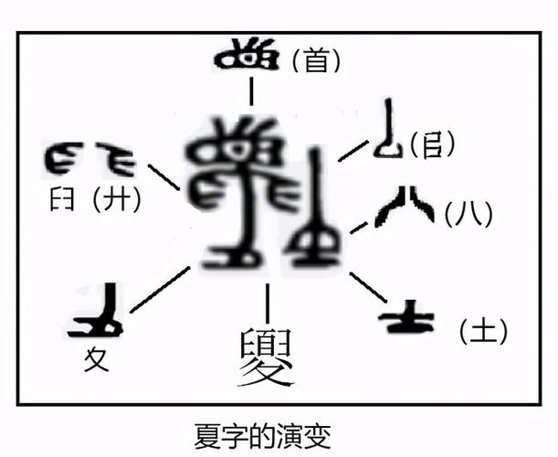 对话姜宗福甲骨文不是象形文字而是记录商及商前华夏文明史的文字档案