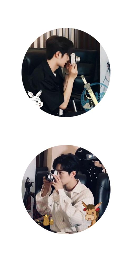 王一博 肖战 头像 情头 王肖 @深巷的猫69