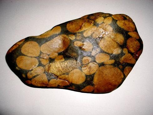 绥中奇石(415)石中石 绥中砾岩