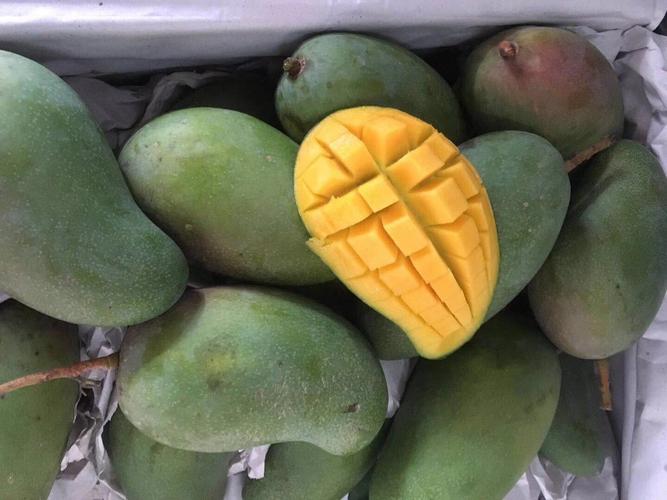 越南特产甜心芒8斤 进口新鲜采摘水果 生熟两吃 一件代发