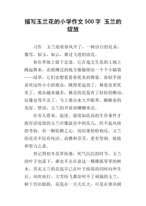 描写玉兰花的小学作文500字 玉兰的绽放.docx