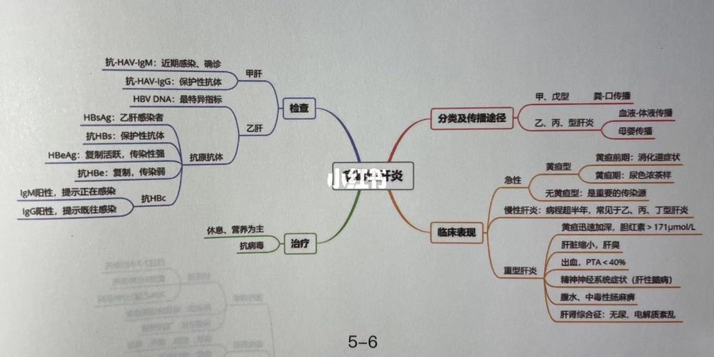 今日分享传染病思维导图_护考_教育_职业培训