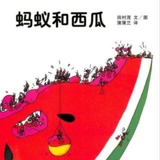 每日绘本之蚂蚁和西瓜
