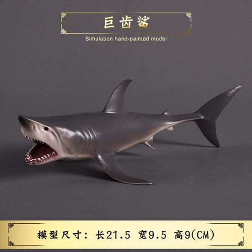 巨齿鲨鲨鱼食人鲨大白鲨玩具 儿童仿真实心海洋海底生物玩具模型