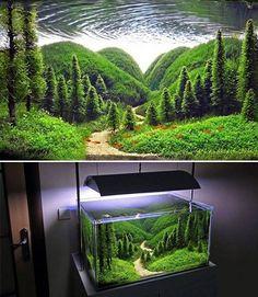 爬宠养殖与技术之造景
