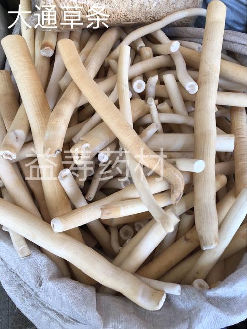 通草,通草条,大通草,小通草,通草片