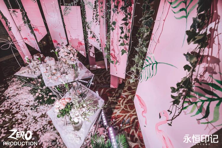 粉色 ins风 火烈鸟 摄影