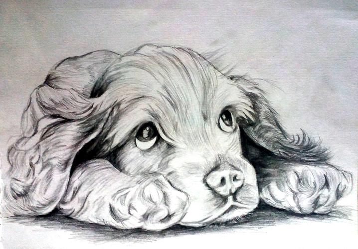 临摹素描|插画|插画习作|无疯不成诗 - 原创作品