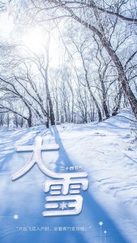 大雪节气:瑞雪飞千里,迷云暗九州 - 美篇