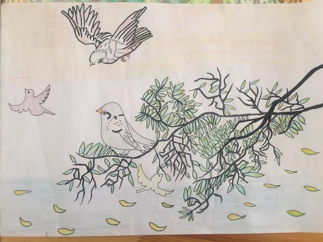 "爱鸟周"主题绘画大赛——唤醒心灵,保护鸟类
