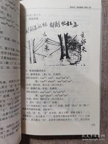 中国先越文化研究:从壮族鸡卦看《易经》起源
