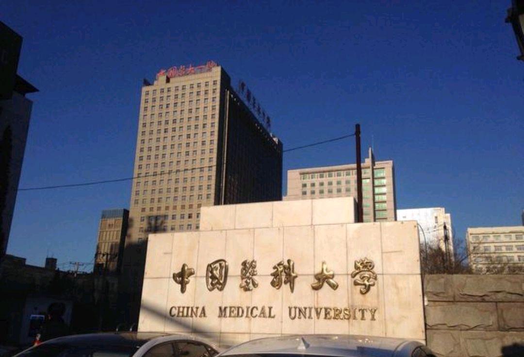 中国医科大,吉林大学医学部,哈尔滨医科大,大连医科大哪个最强