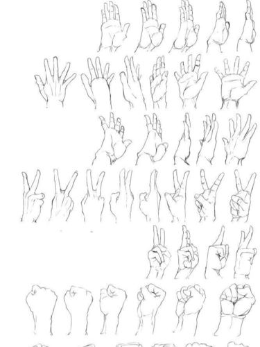 手的画法参考_手部_文化_绘画
