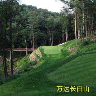 14年高尔夫球场预定 万达长白山 18洞全包 高尔夫球会 新品上架 ￥ 1