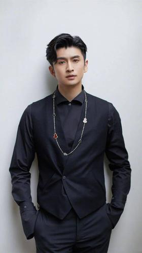 手机壁纸张云龙