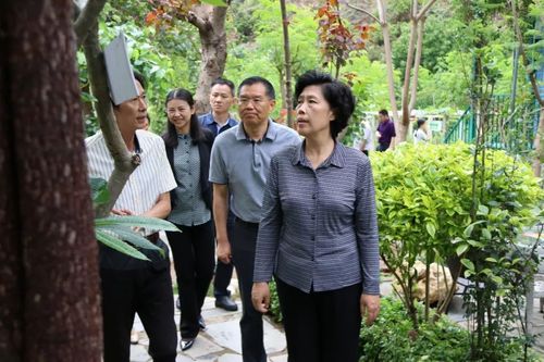 省委领导在红格镇调研时说:盐边基层统战"四步工作法"