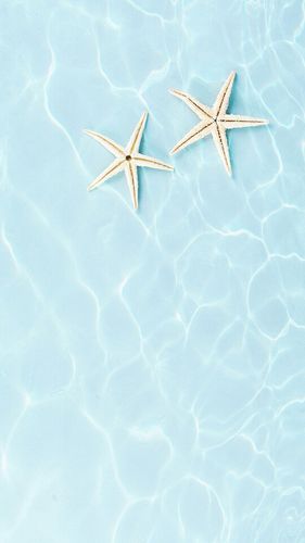 壁纸 #锁屏 #小清新 薄荷绿 特别喜欢这种清新的感 