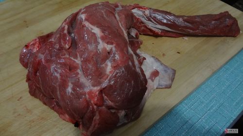 吃货俱乐部 美食体验团   第二道菜:烤鲜羊肉串,老板选的都是羊腿肉