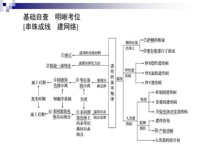 2 遗传的基本规律和人类遗传病课件-生物备课大师ppt