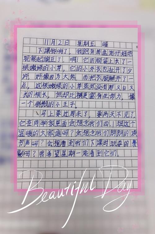 豆子"变形"记——四.1班植物观察日记活动