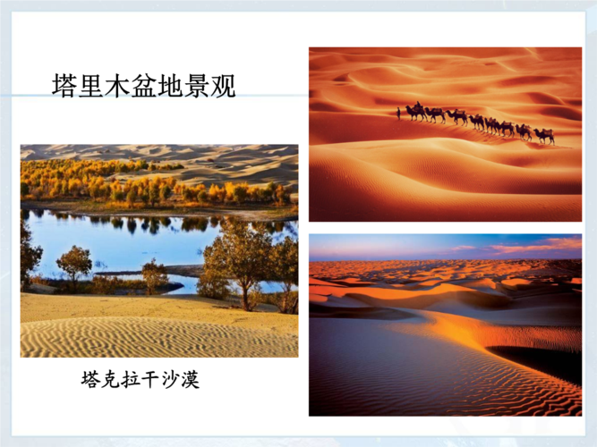 干旱宝地——塔里木盆地.ppt