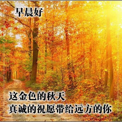 金秋十月最美的早上好问候语图片大全,早晨好阳光祝福