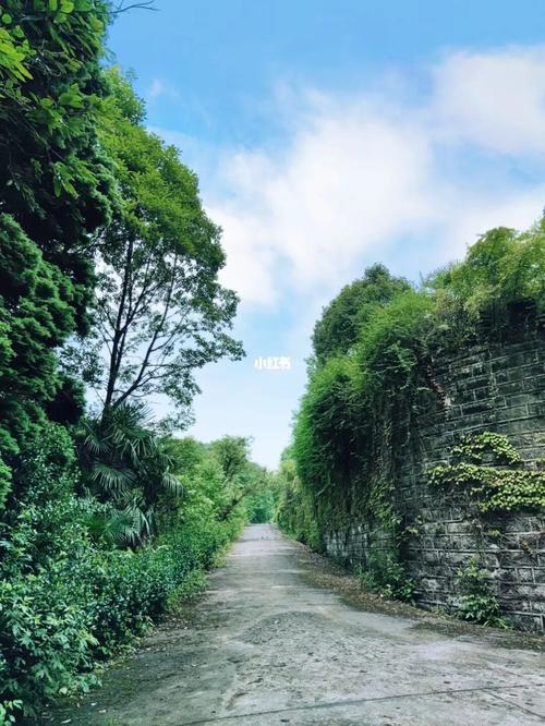 坐标:巴南樵坪山,一个很诡异的地方_庄园_吸血鬼_治愈