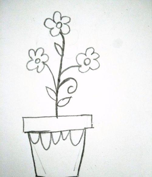 简笔画之多肉盆栽需要技巧