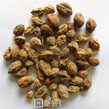 中药材益智仁图片益智仁批发益智仁一斤多少钱