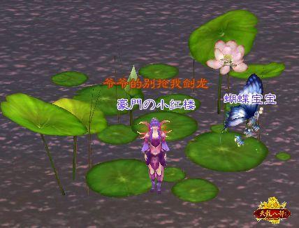 最新小蜜--蝴蝶宝宝 _天龙八部ol_17173天龙八部ol专区_17173.