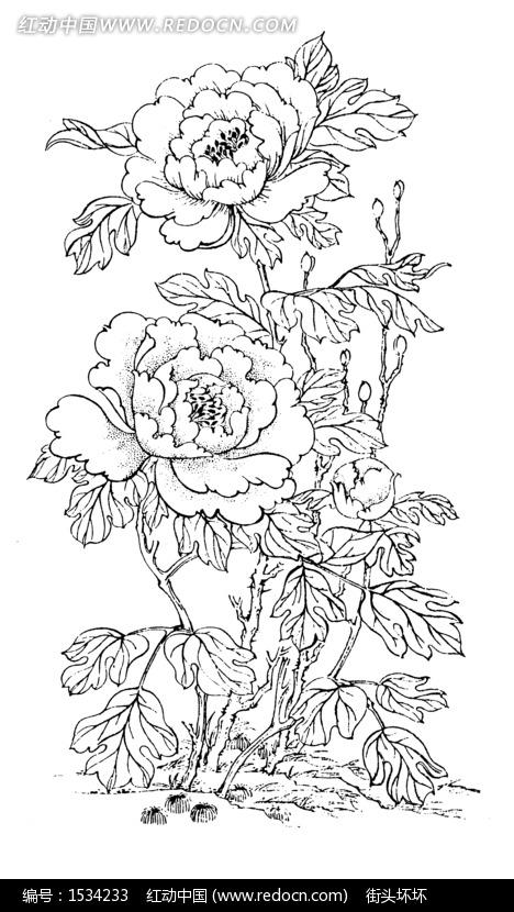 牡丹花枝/花苞/花蕾构成的吉祥画矢量图_传统图案; 矢量图和点阵图