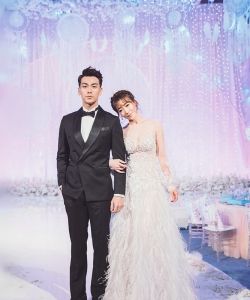 陈紫函戴向宇新婚答谢宴图片